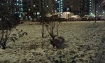 20161029_223449.jpg