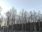 IMG_20161122_084320.jpg