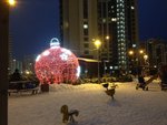 IMG_1280.JPG
