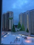 IMG_6957.JPG
