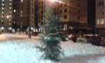 20161229_190643.jpg