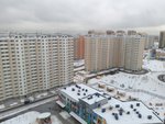 P61229-094331.jpg