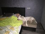 IMG_9886.JPG