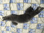IMG_4217.JPG