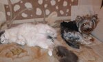20170214_220544.jpg
