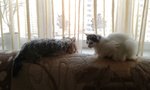 20170208_085410.jpg