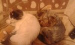 20170118_165159.jpg