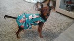 20170117_102724.jpg