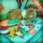 IMG-20170310-WA0000.jpg