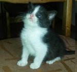 20160915_125439.jpg