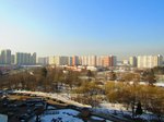IMG_2483.jpg