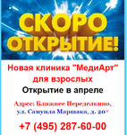 Медиарт ПБ.png