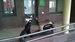 WP_20170502_002.jpg