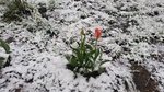 20170511_185005.jpg