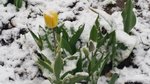 20170511_185010.jpg