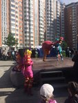 IMG_7345.JPG