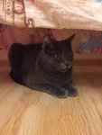 IMG_7611-28-06-17-11-07.JPG