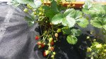 20170628_160439.jpg