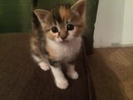 IMG-20170709-WA0004.jpg