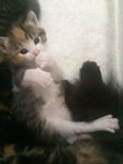 IMG-20170709-WA0009.jpg
