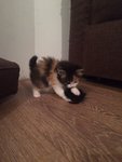 IMG-20170709-WA0005.jpg