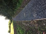 IMG_2207.jpg