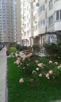 20170902_171543.jpg