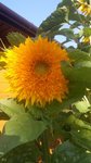20170907_163536.jpg