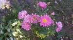 20170922_171627.jpg