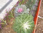 IMG_6055.JPG