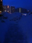 IMG_2513.JPG