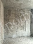 po-CydfP3-w.jpg