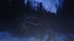 20180318_191229.jpg