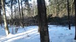 20180325_152240+.jpg
