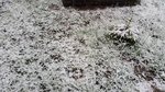 20170511_184953.jpg