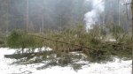 20180401_155921.jpg