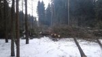 20180401_155935.jpg