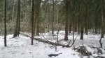 20180401_160050.jpg