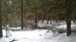 20180401_160319.jpg
