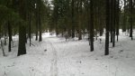 20180401_165951.jpg