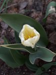 20180502_155311.jpg