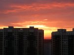 IMG_8776.JPG