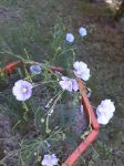 20180529_111553.jpg