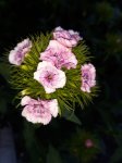 20180609_175440.jpg