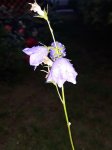 20180624_212723.jpg