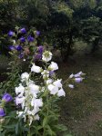 20180702_192156.jpg