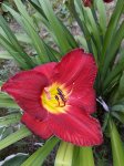 20180709_110256.jpg