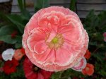 20180709_110121.jpg