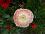 20180709_110130.jpg