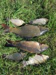 IMG-20180819-WA0014.jpg
